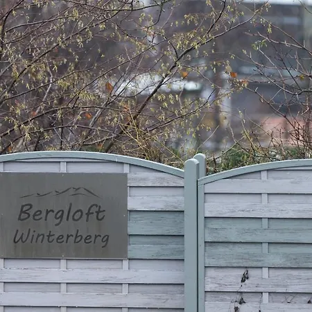 Bergloft Apartment Winterberg